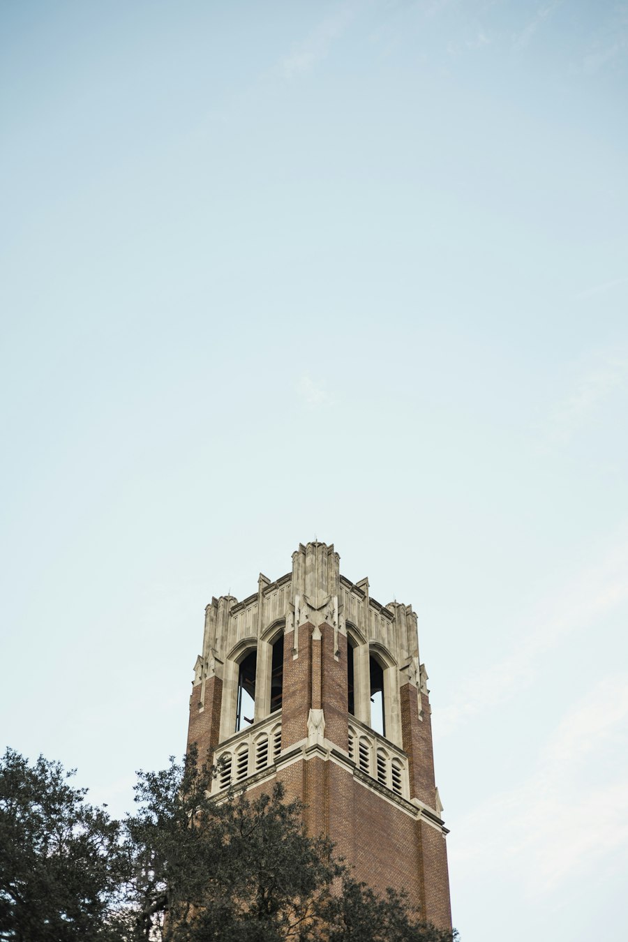 University of Florida campus landmark oaks