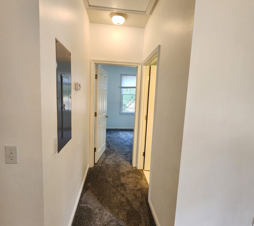 large - 2025-06-03T233846.524