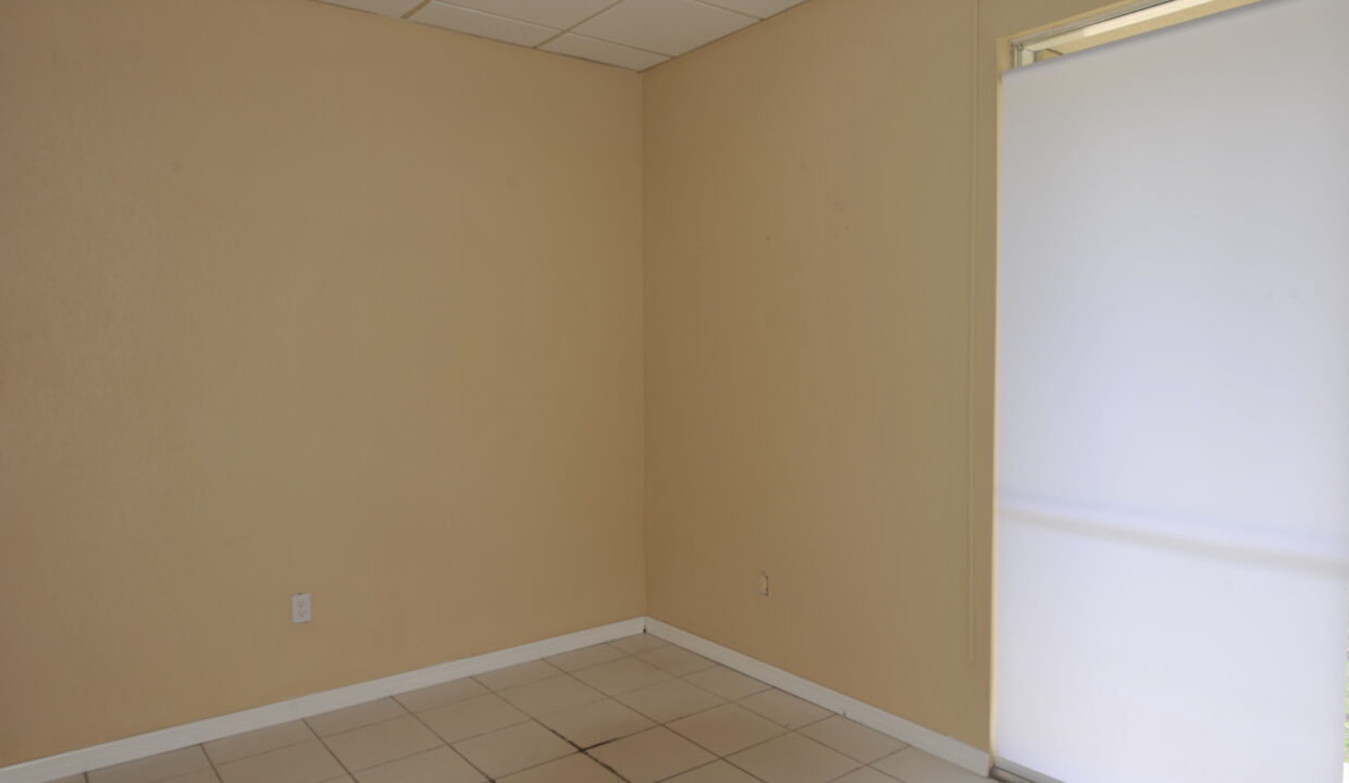 large - 2025-06-03T235429.019