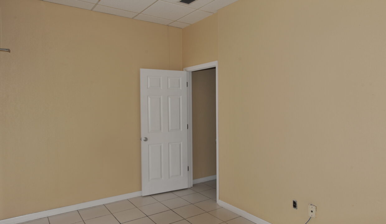large - 2025-06-03T235435.565