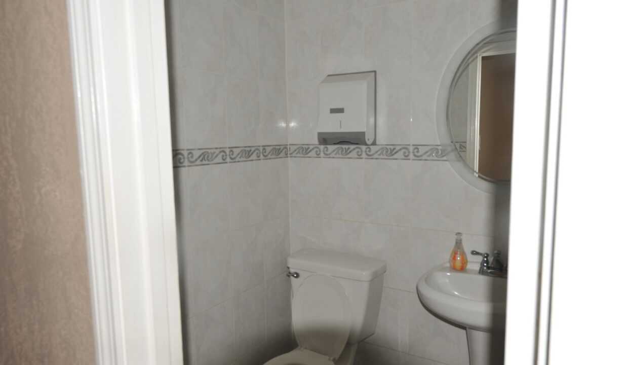 large - 2025-06-03T235458.197