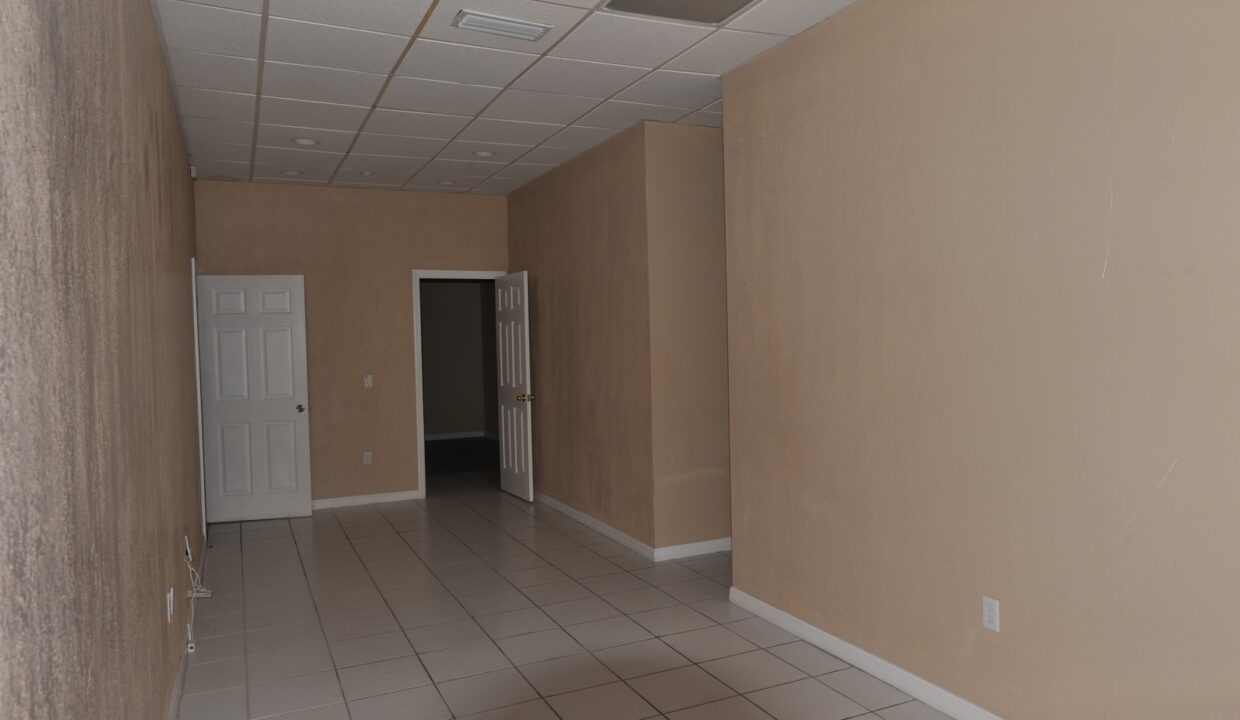 large - 2025-06-03T235647.662