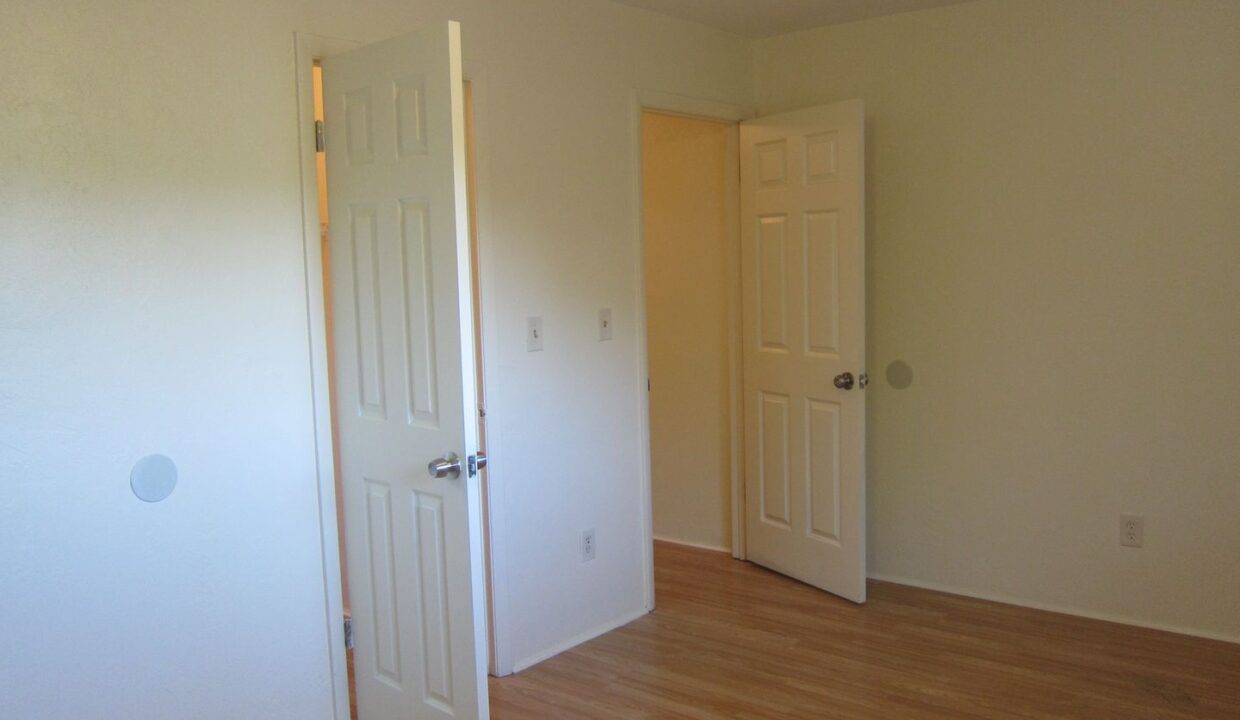 large (46)
