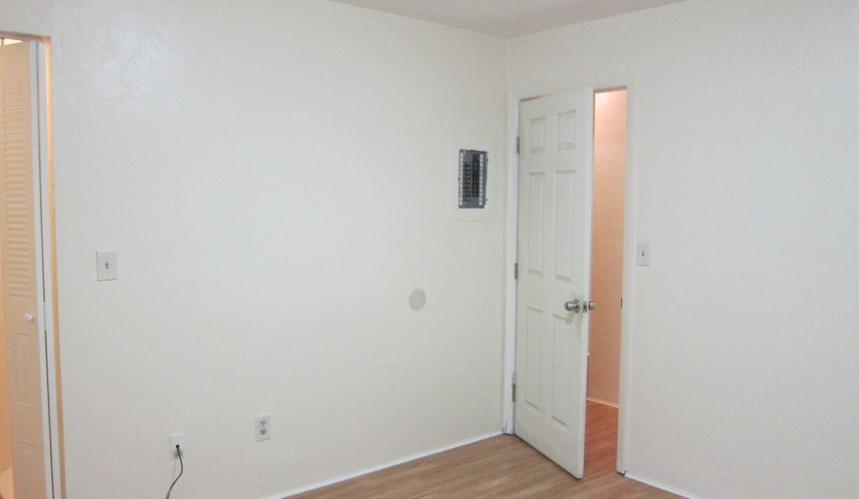 large (63)