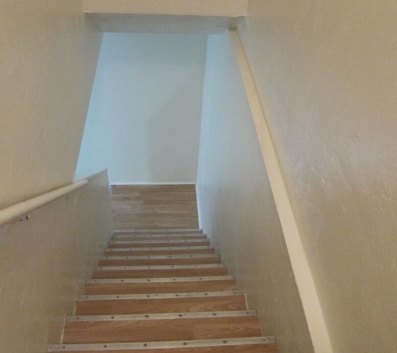 large (64)